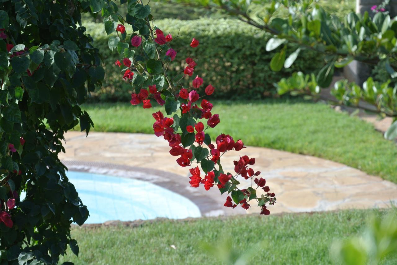 Nyati Hill Cottages Nairobi Eksteriør billede